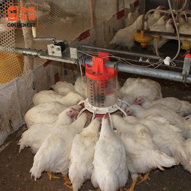Goldenest Broiler Breeder Automatic Pan Feeding Chain Circle Open Trough Farming Equipment