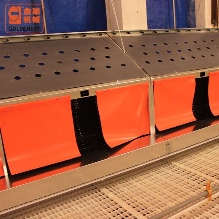 Poultry Farm Double Side Automatic Egg Nest System Chicken Laying Box