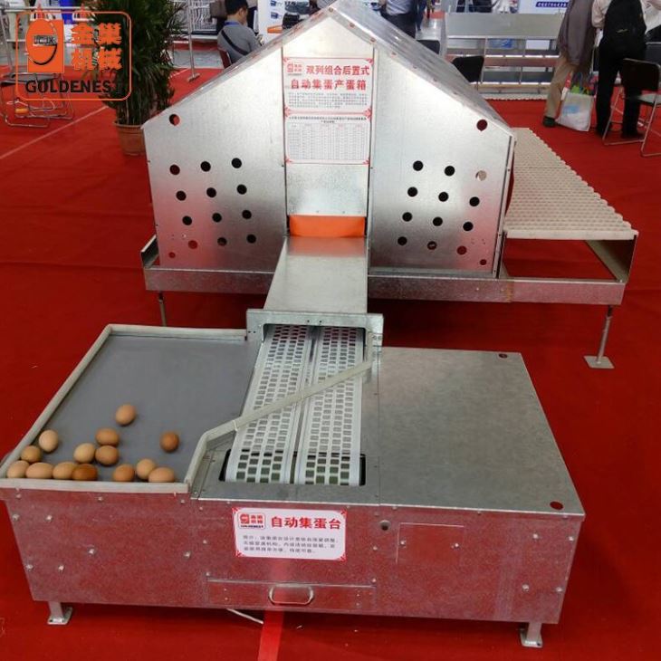 Poultry Farm Double Side Automatic Egg Nest System Chicken Laying Box