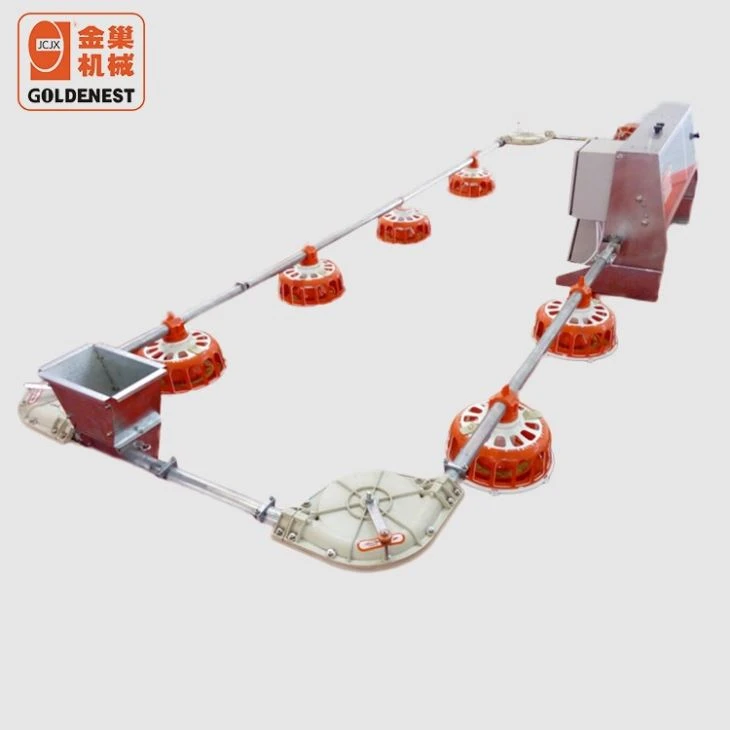 Complete Poultry Equipment Breeder Automatic Feeding System