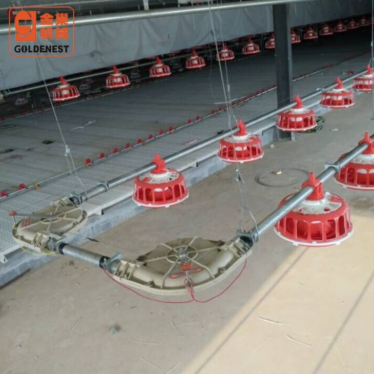 Complete Poultry Equipment Breeder Automatic Feeding System